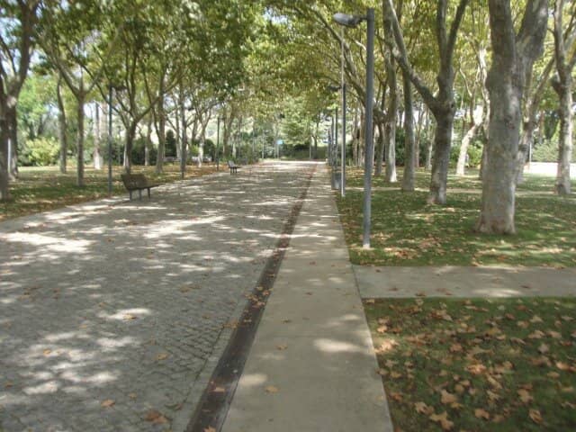 Community Events & Activities