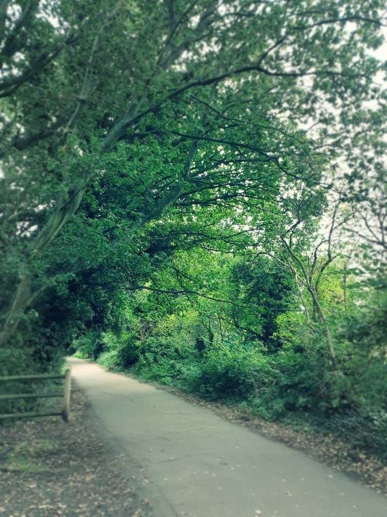 Peaceful Walking Trails