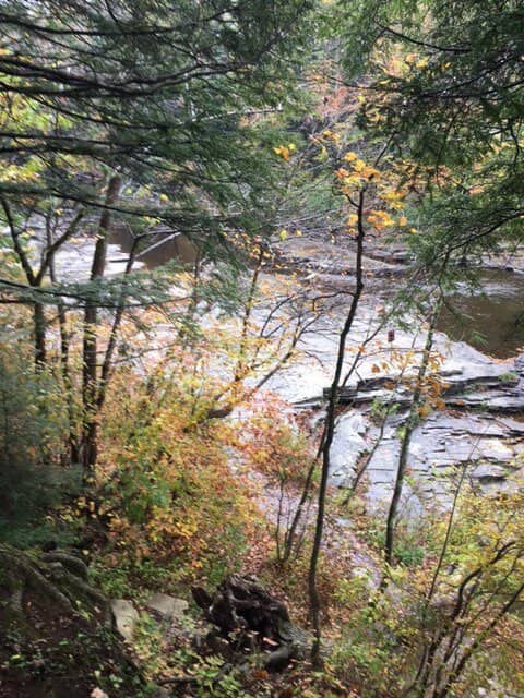 The Immersive Lower Falls Trail