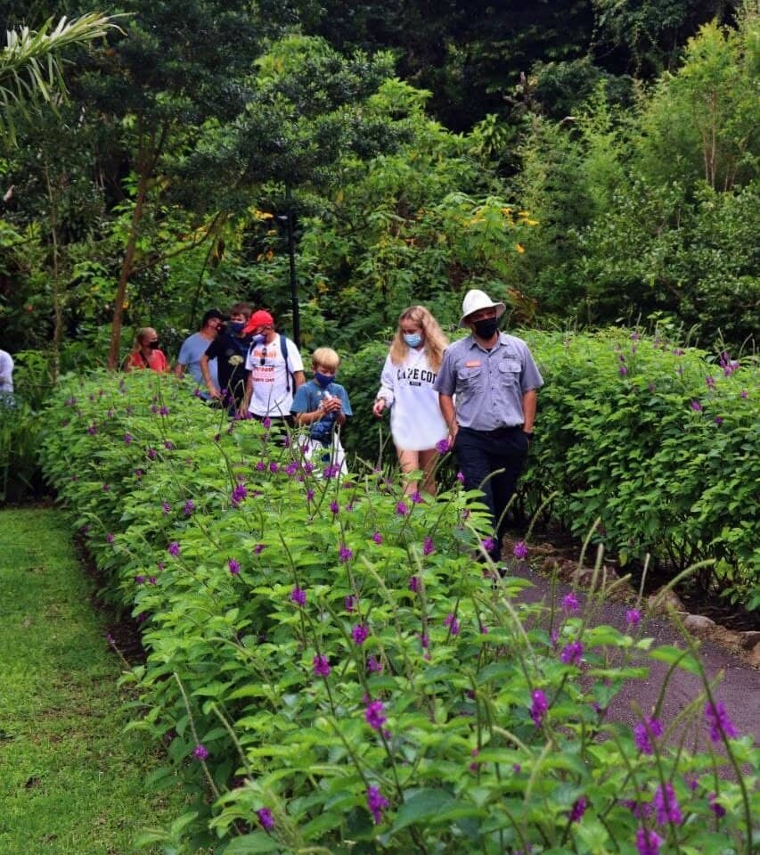 Specialty Coffee Insights