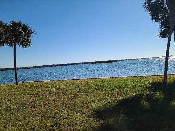 Osprey Roost & Wildlife