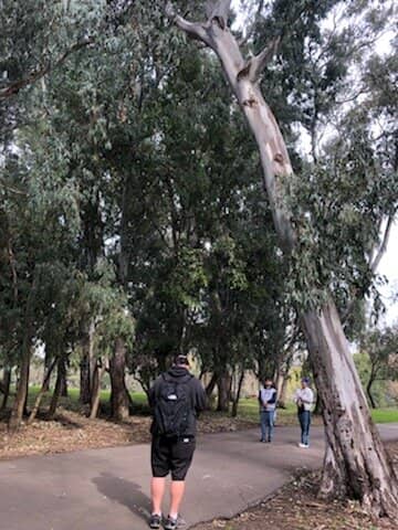 Central Park Playground