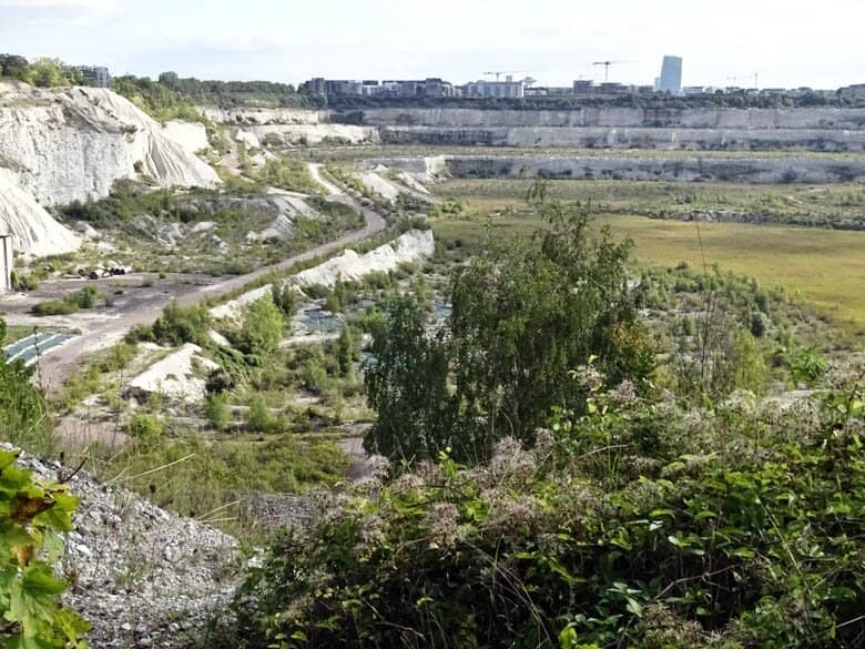 Fossil Hunting Adventure