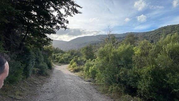 Native Forest Trail