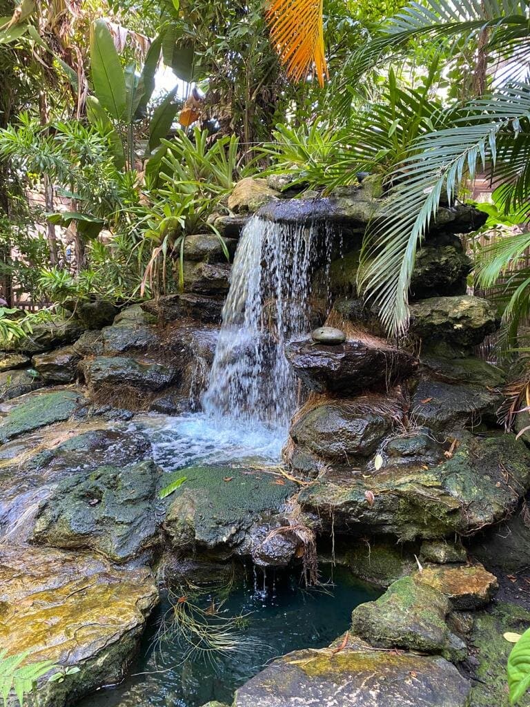 Marie Selby Botanical Gardens