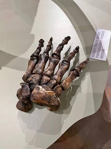 Charles M. Russell Art