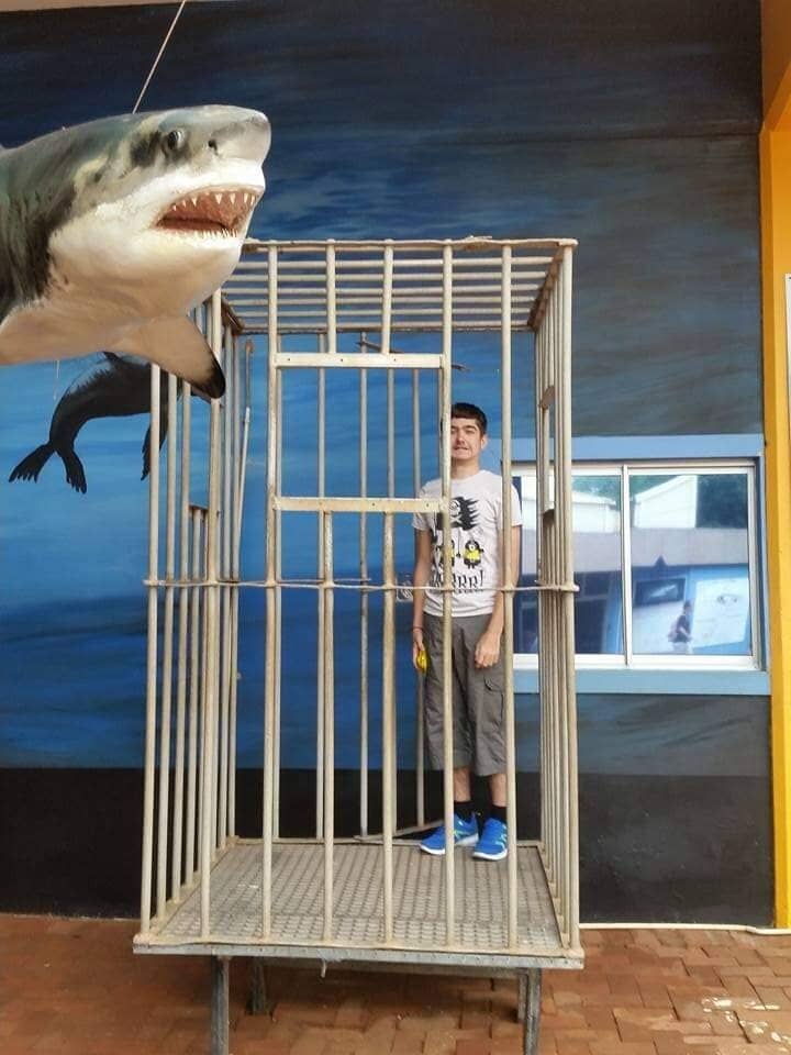 Educational Presentations