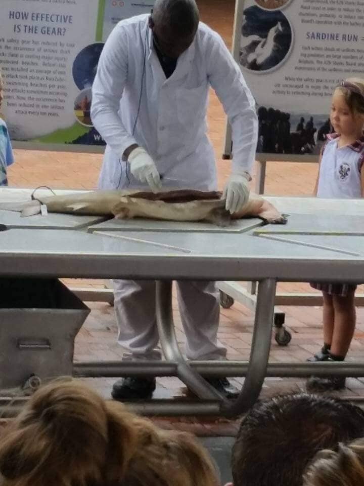 Interactive Marine Exhibits