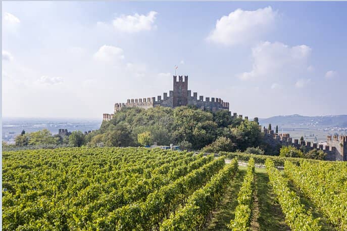 Acclaimed Soave Wine Tasting