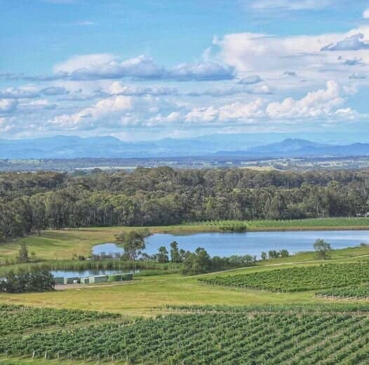 Semillon & Shiraz Tasting