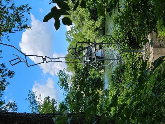 Local Artist Spotlights