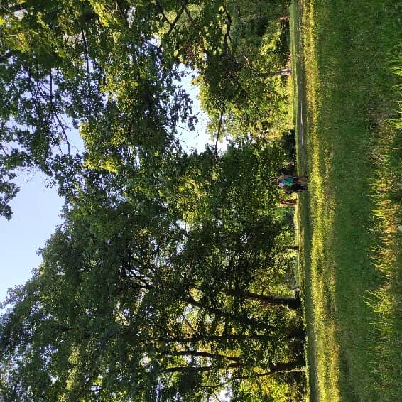 Picnic & Grill Areas