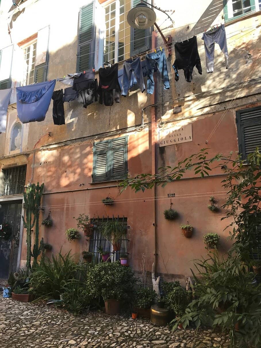 Vertical photo