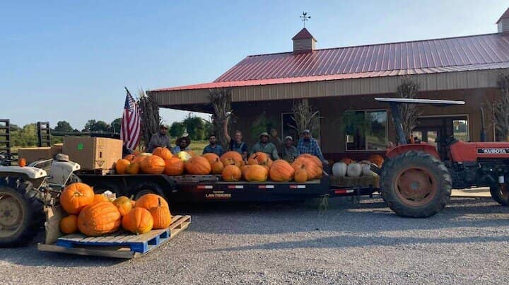 Souvenir Seeker's Haven