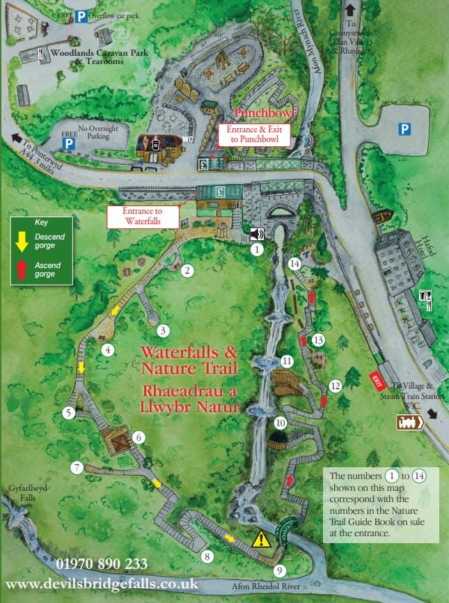 Cascading Waterfalls