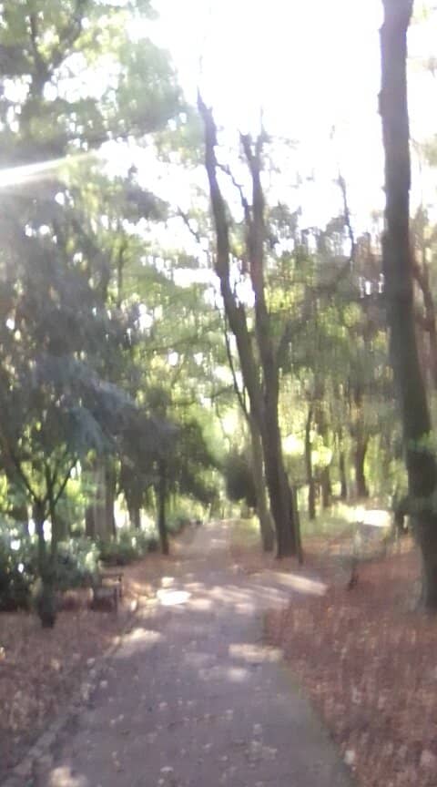 Play Areas & Seating