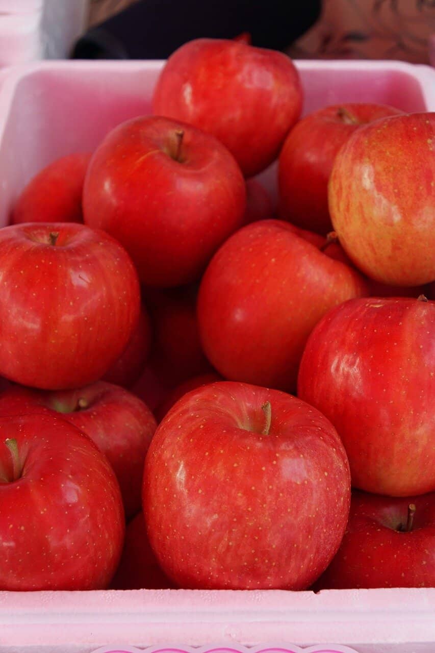 Wind Turbine Landscape