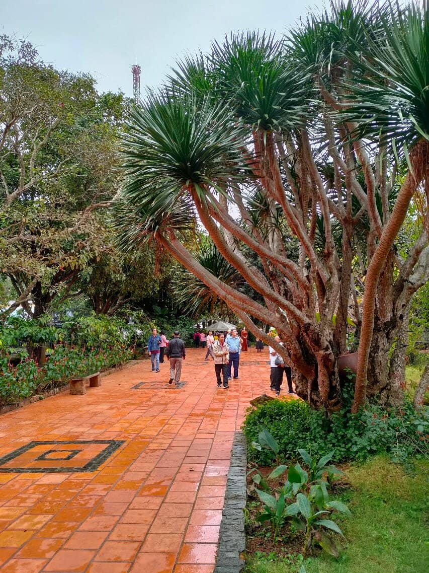 Scenic Photo Opportunities