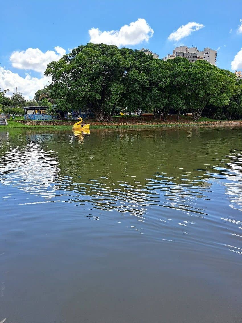 Green Spaces and Gardens