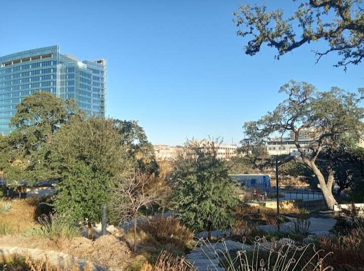 Boardwalk and Shoreline