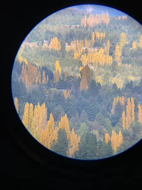 Highlights