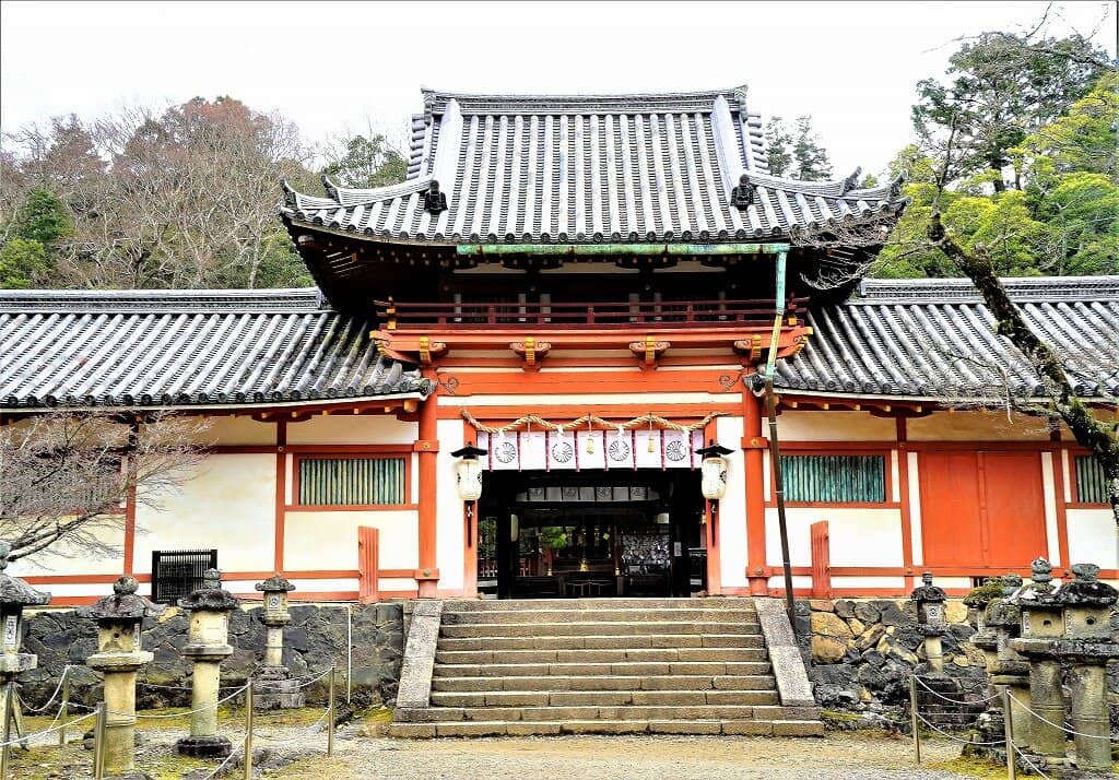 Sacred Deer Encounters