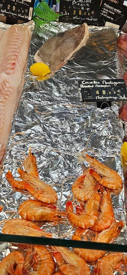 Fashion & Accessories