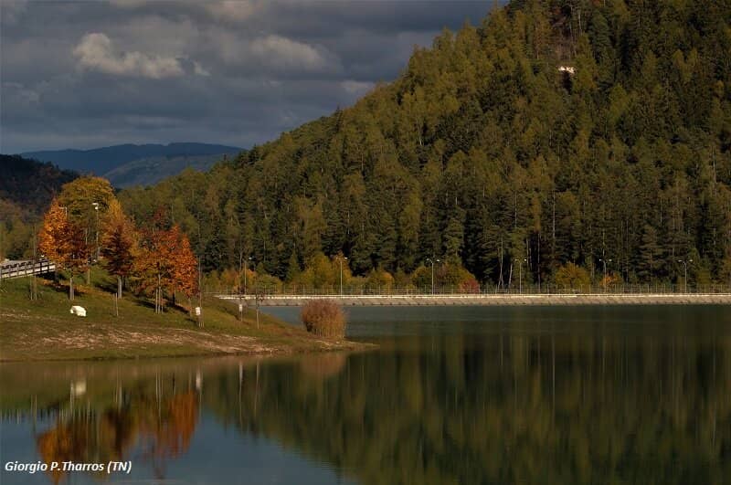 Historic Water Sawmill
