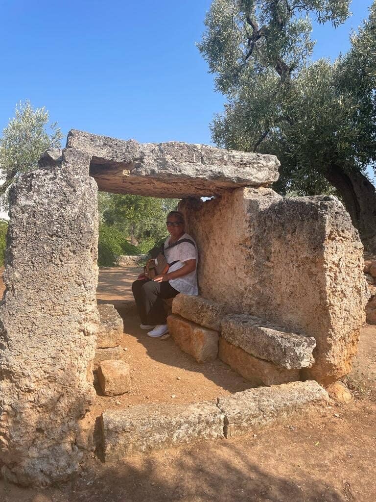 Ancient Olive Grove Setting