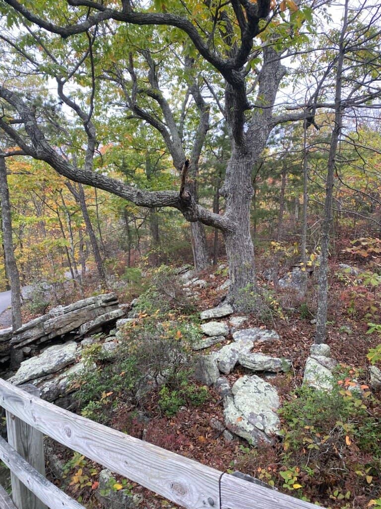 Panoramic Valley Overlook