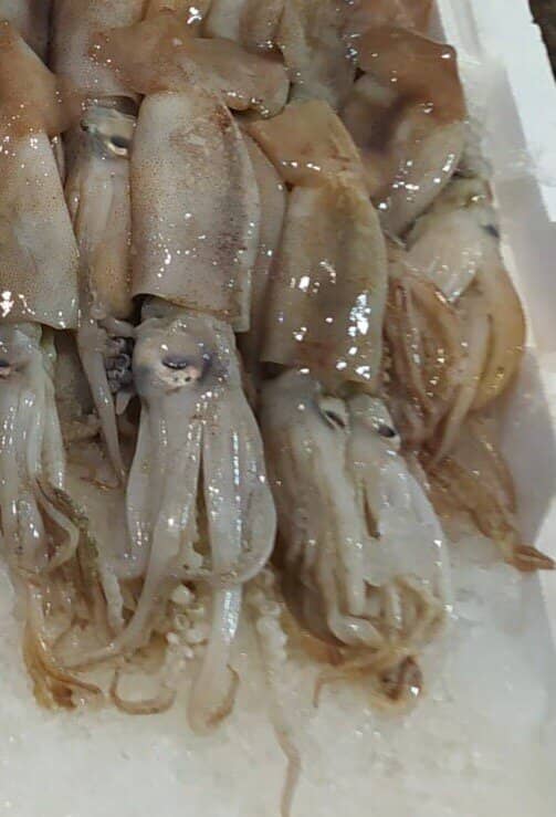 Local Life in Action