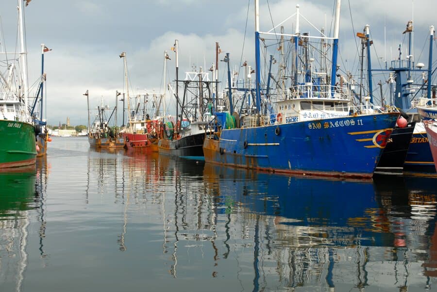Fishing vessels in the harbor, as seen on our famous Walks of the Working Waterfront.