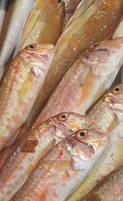 Diverse Seafood Selection