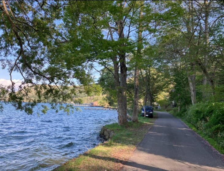 Historical Elephant Site