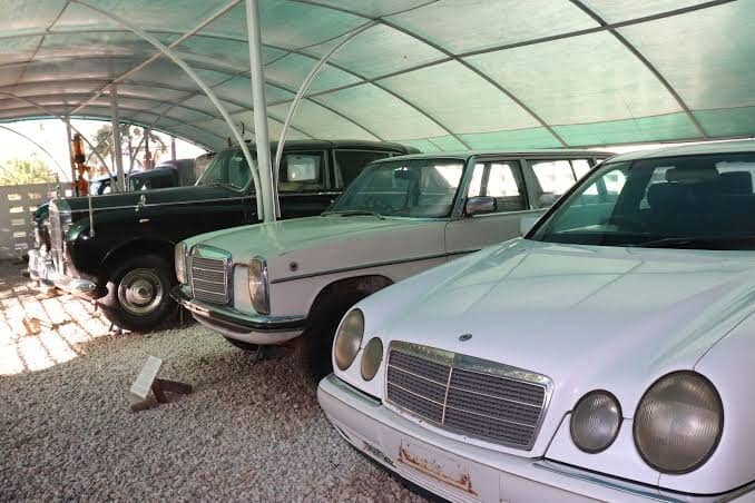 Human Evolution Displays