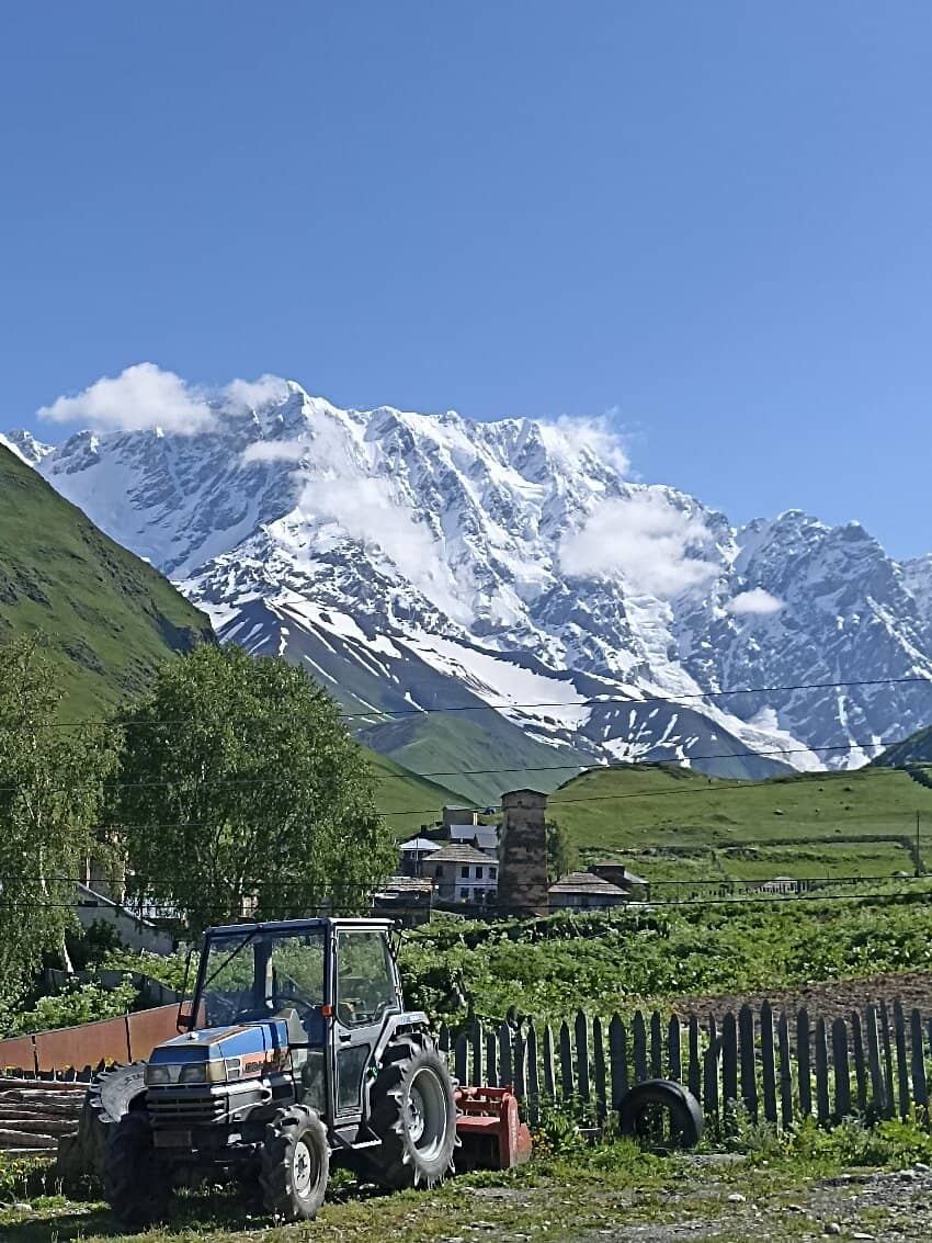 Scenic Horseback Ride