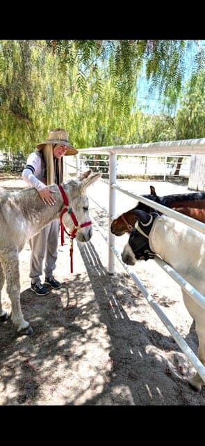 Addison the donkey is friends with Celeste & Marvel.