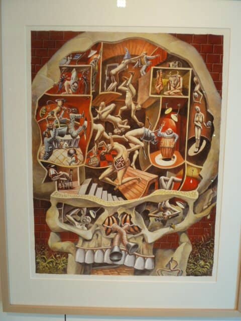 Anatomical Collections