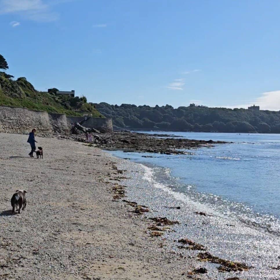 Gyllyngvase Beach Cafe