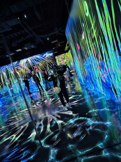 teamLab Forest Fukuoka