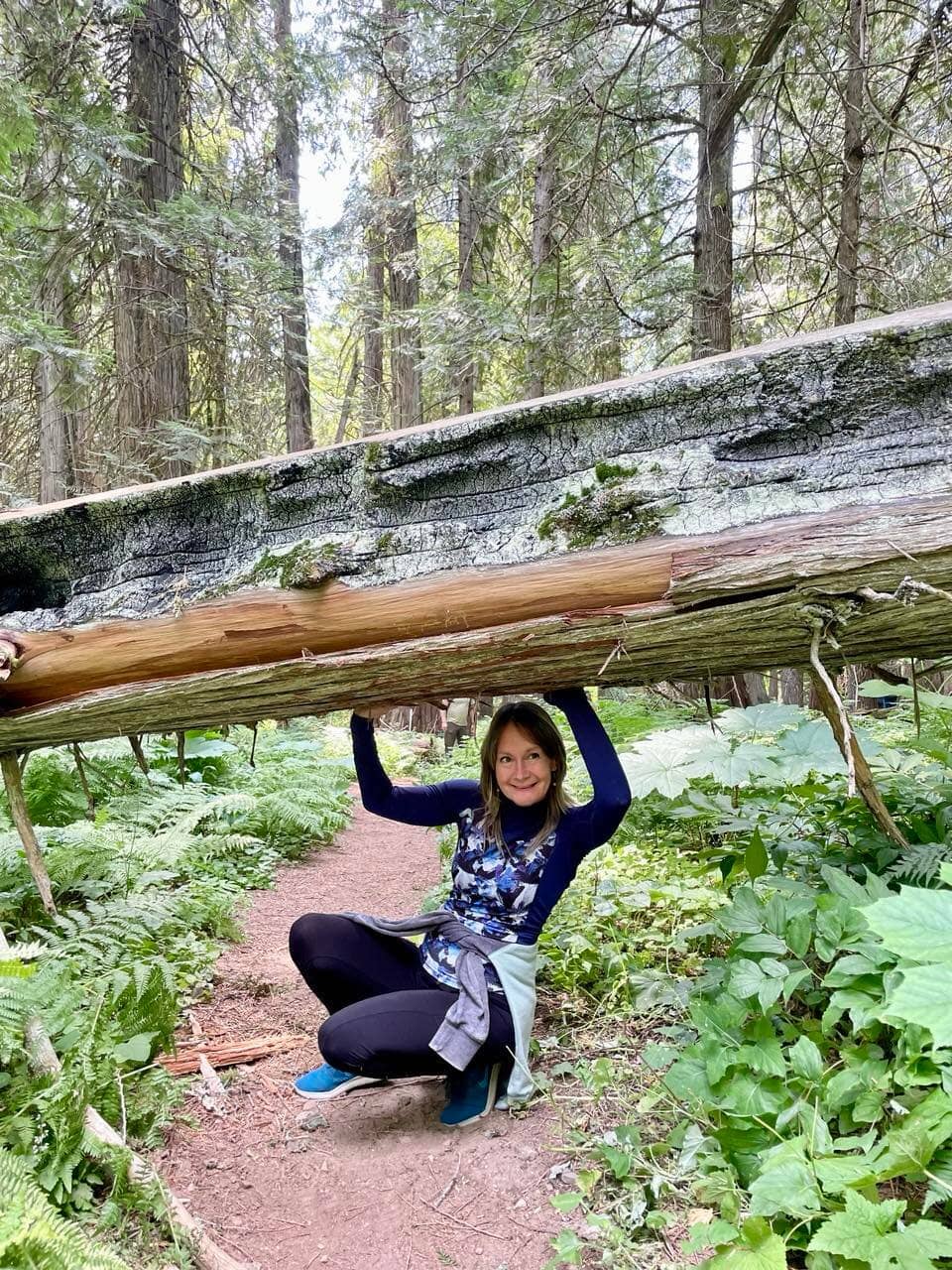 Accessible Loop Trail