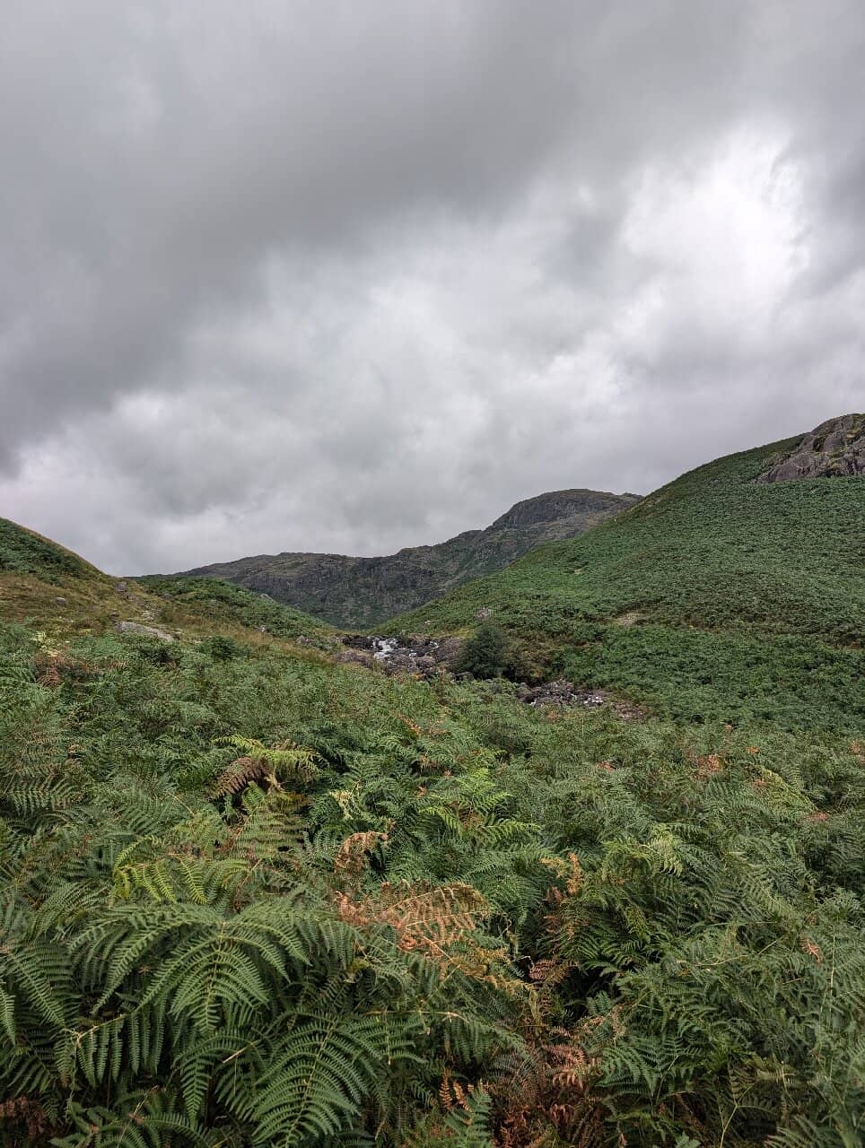 Wild Swimming Opportunities