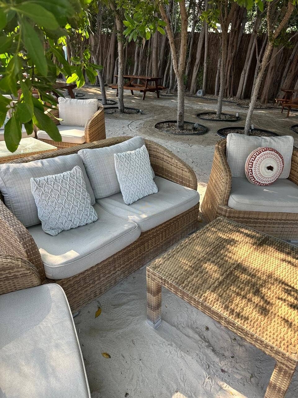 Hawksbill Turtle Nesting Site