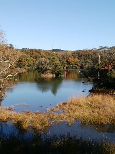 Forest Walking Trail