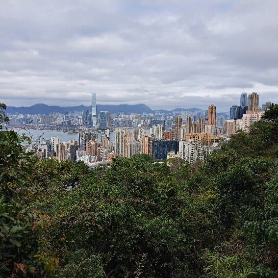 Take a walk up the Peak via Morning Trail