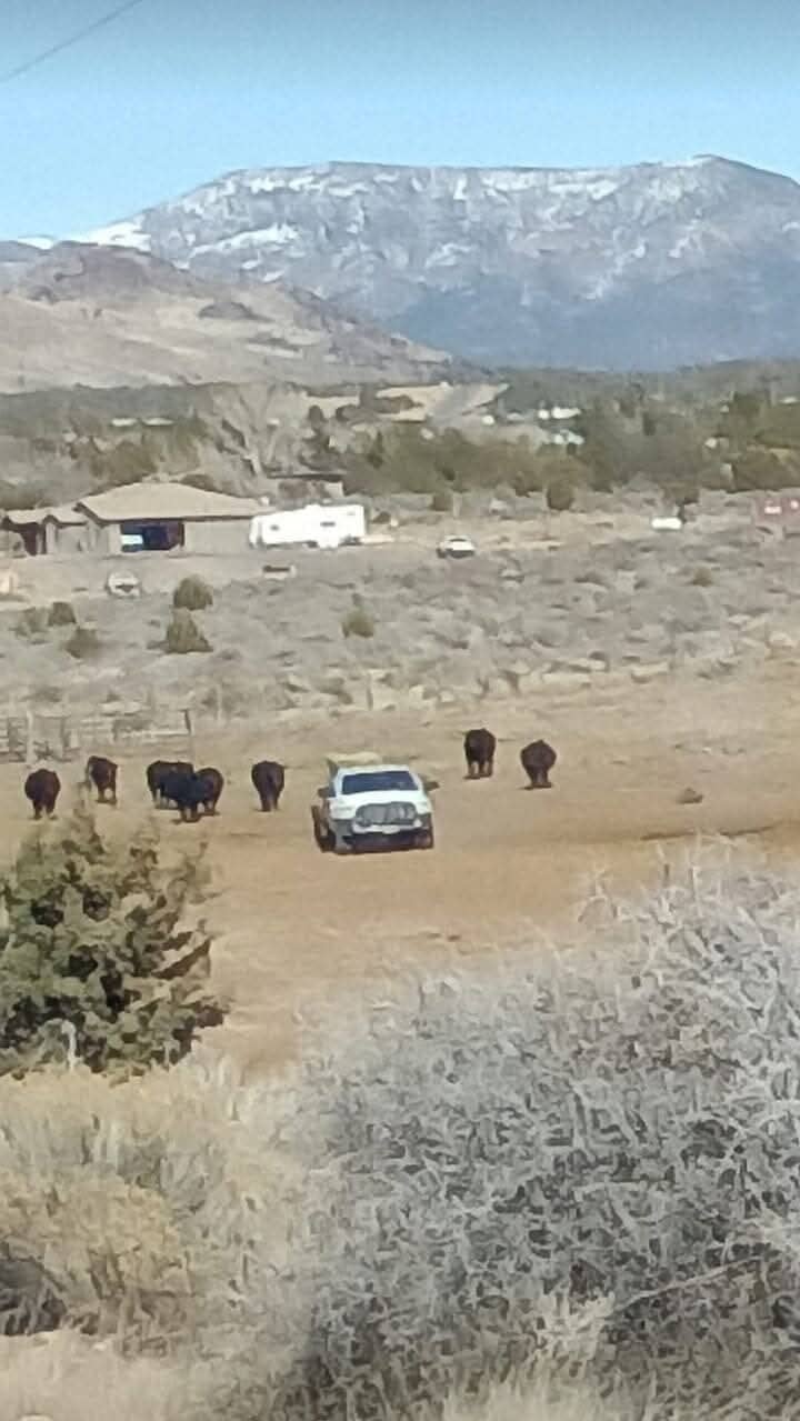 The Bowl / The Vortex Hike