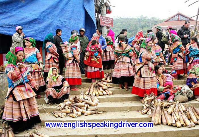 www.englishspeakingdriver.com