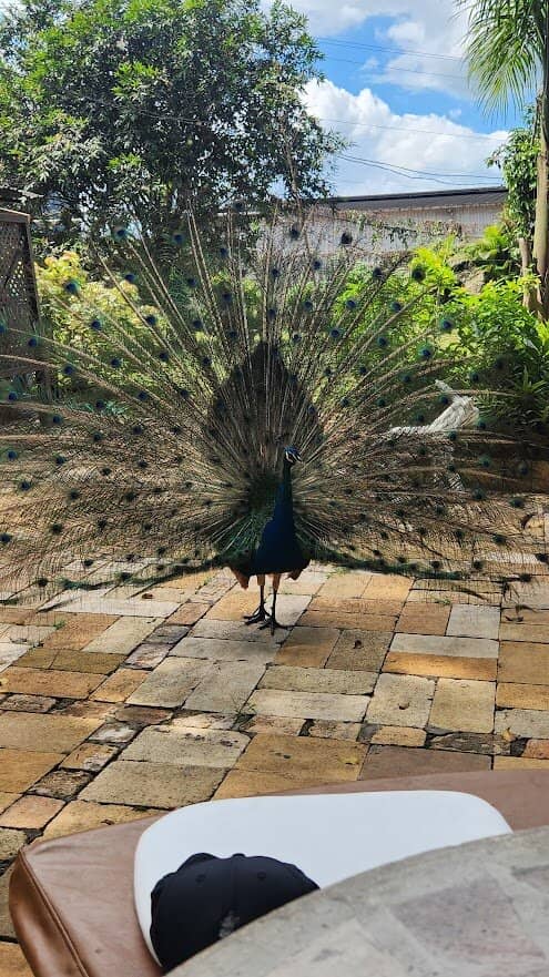 Delicious Jerk Lunch