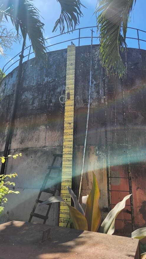 Authentic Rum Tasting