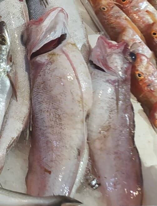 Art Nouveau Architecture